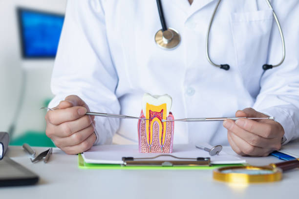 Best Dentist for Tooth Abscess  in Madelia, MN